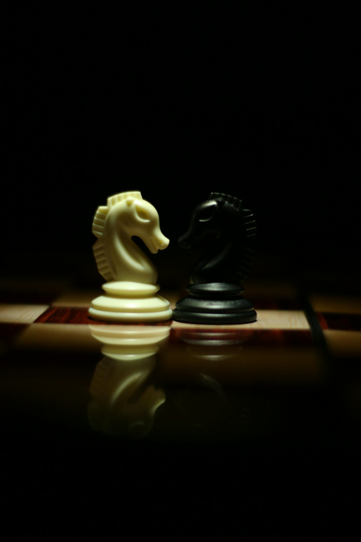 五月象棋盛宴，智慧巅峰的较量之战